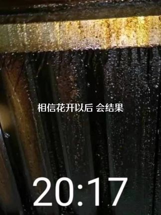 青島餐飲協(xié)會(huì)嶗山區(qū)餐飲協(xié)會(huì)清洗前后對比